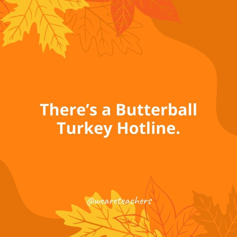 Thanksgiving Facts 13 There’s a Butterball Turkey Hotline.- Thanksgiving facts
