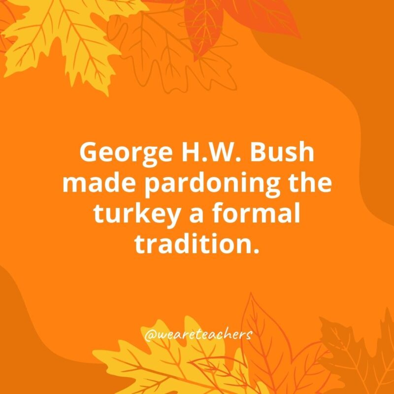 Thanksgiving Facts 16 George H.W. Bush made pardoning the turkey a formal tradition.- Thanksgiving facts