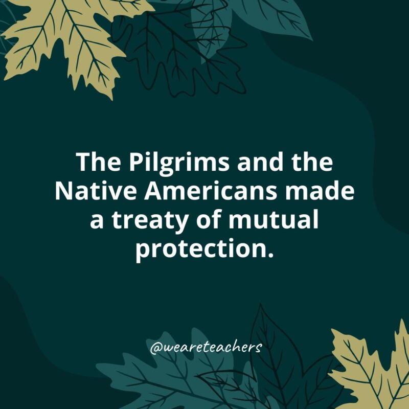 Thanksgiving Facts 2 The Pilgrims and the Native Americans made a treaty of mutual protection.