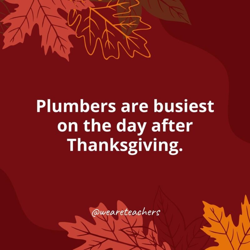 Thanksgiving Facts 21 Plumbers are busiest on the day after Thanksgiving.