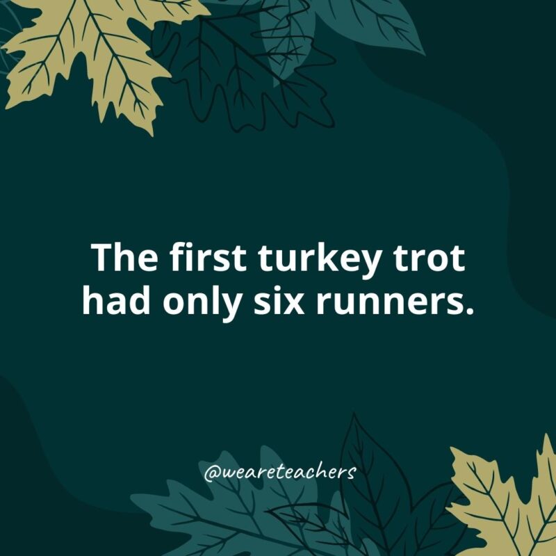 Thanksgiving Facts 23 The first turkey trot had only six runners.