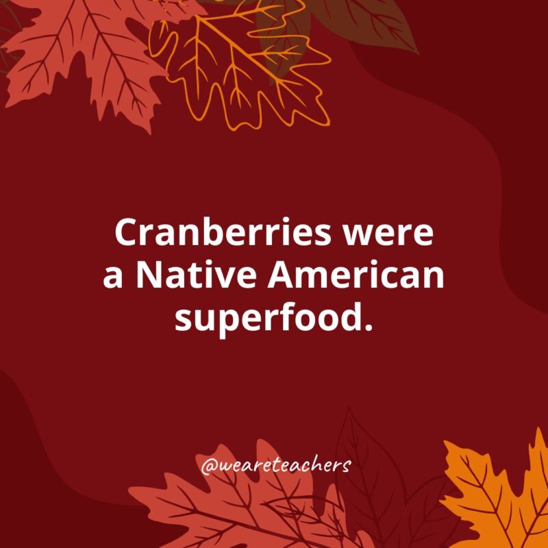 Thanksgiving Facts 30