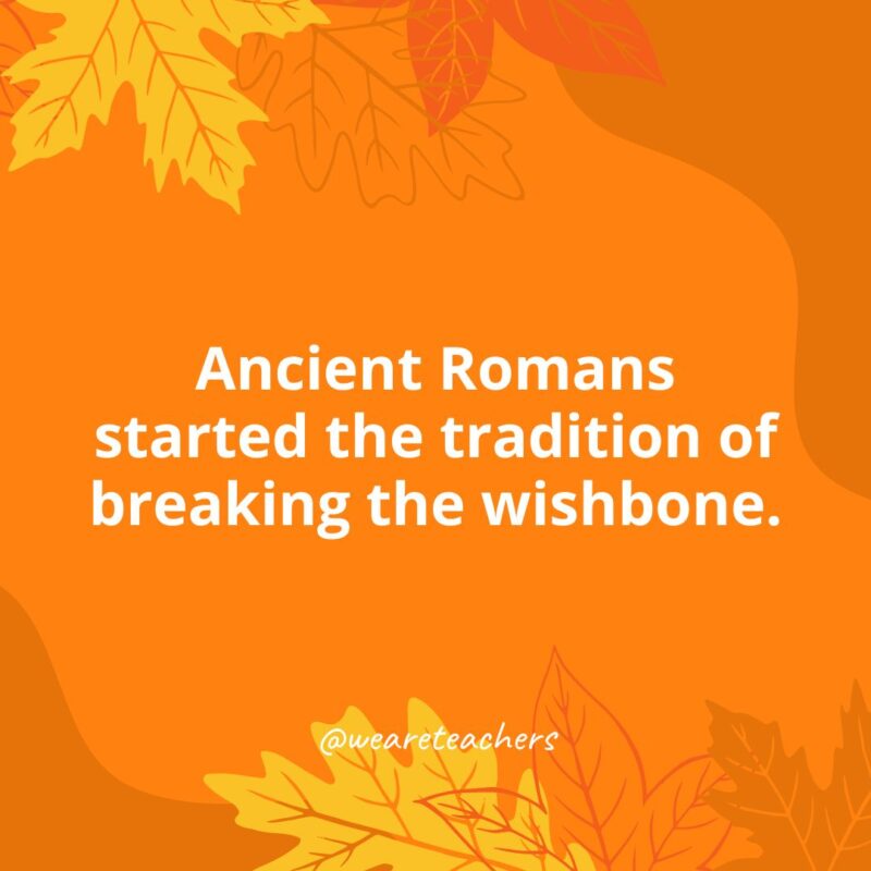 Thanksgiving Facts 31
