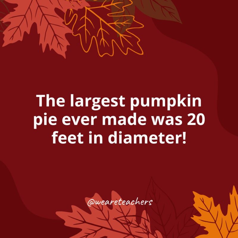 Thanksgiving Facts 33