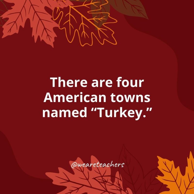 Thanksgiving Facts 9 There are four American towns named “Turkey.”
