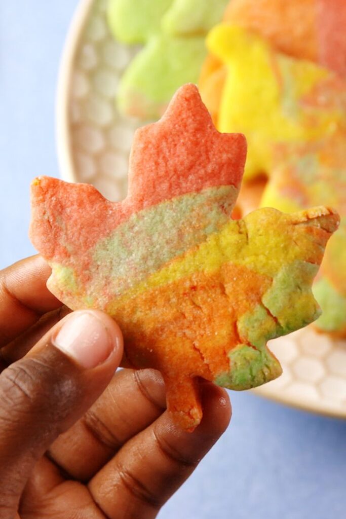leaf-cookies Colorful marbled cookie in the shape of a leaf