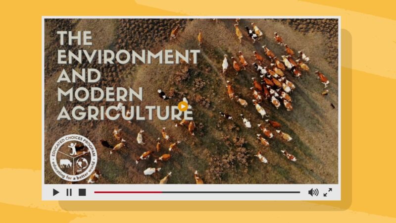 the-environment-and-modern-agriculture The environment and modern agriculture