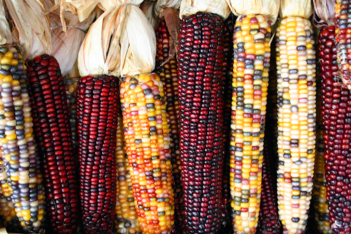Pony Bead Corn Pony Bead Corn