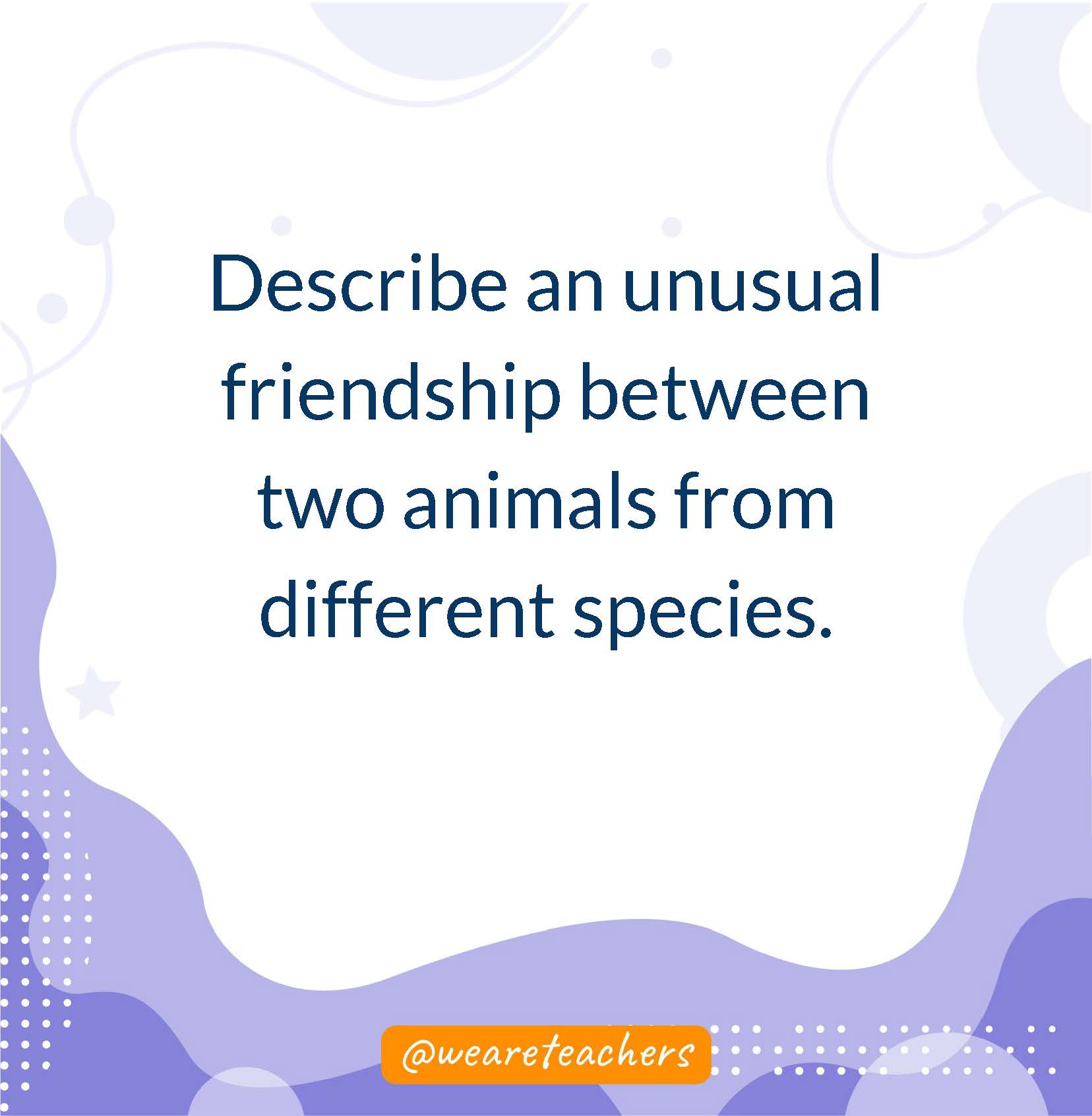 Describe an unusual friendship between two animals from different species.