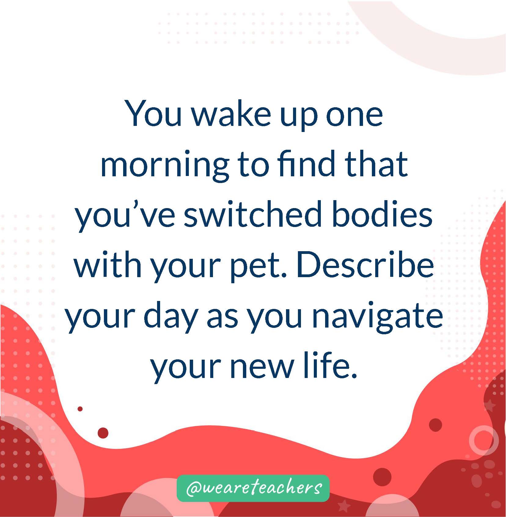 You wake up one morning to find that you’ve switched bodies with your pet. Describe your day as you navigate your new life.