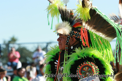 native-headdress Native american wearing headdress
