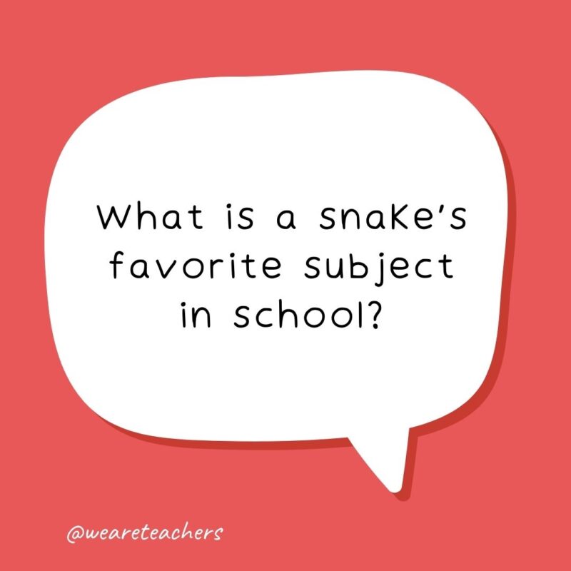 School jokes for kids – What is a snake’s favorite subject in school? Hisssssstory.- school jokes for kids School jokes for kids - What is a snake’s favorite subject in school? Hisssssstory.- school jokes for kids