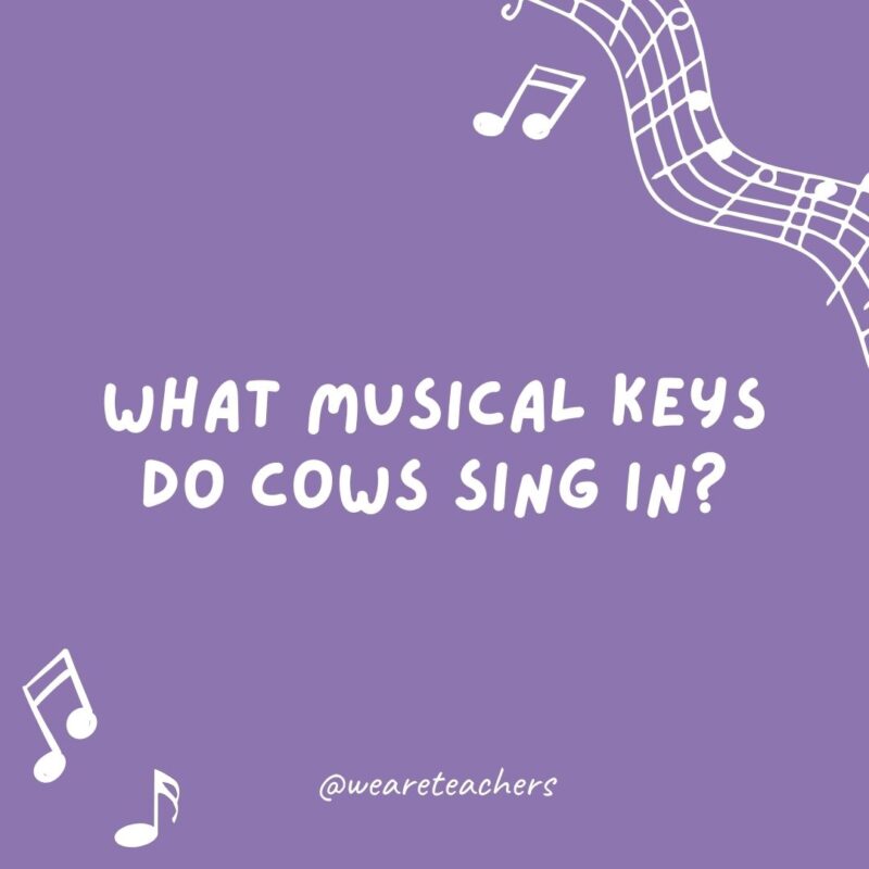 What musical keys do cows sing in? What musical keys do cows sing in?