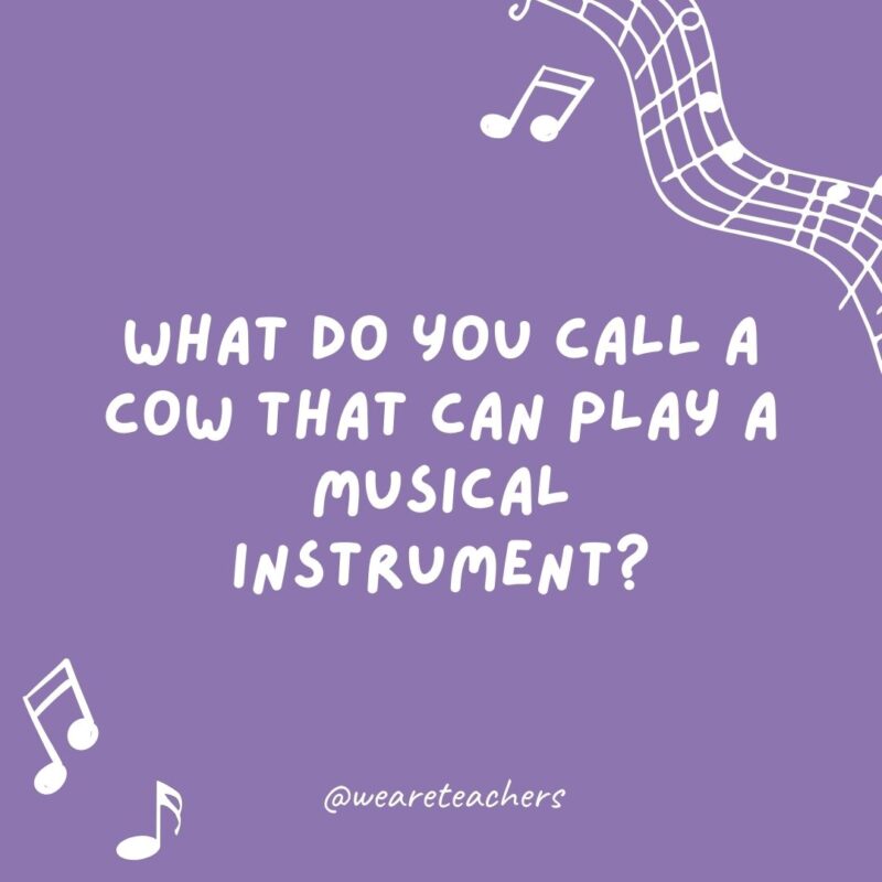 Music jokes: What do you call a cow that can play a musical instrument? A moo-sician. Music jokes: What do you call a cow that can play a musical instrument? A moo-sician.