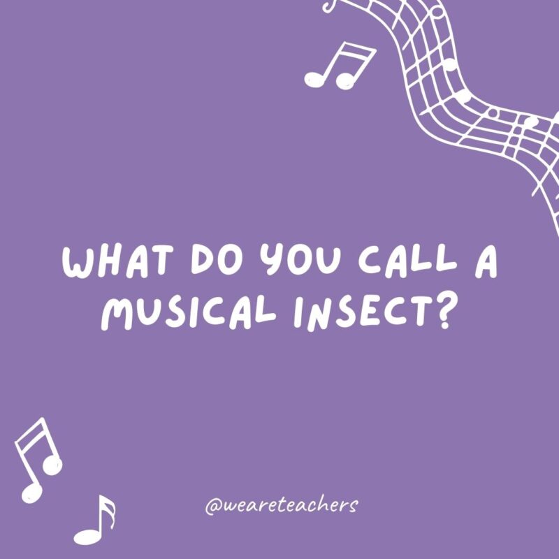 Music jokes: What do you call a musical insect? A humbug. Music jokes: What do you call a musical insect? A humbug.