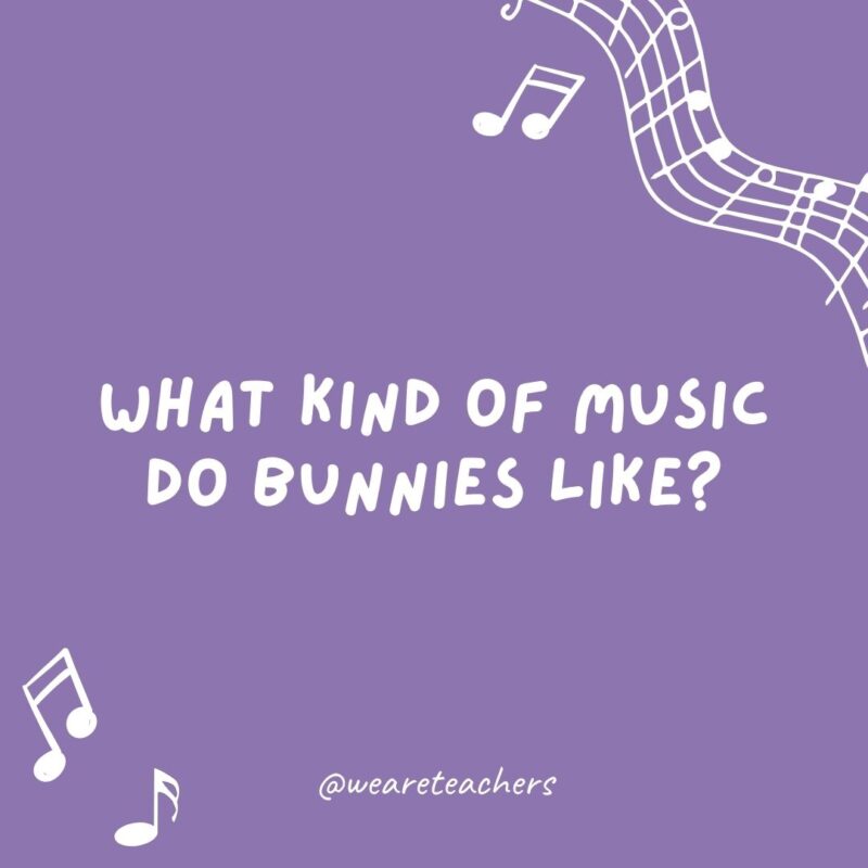 What kind of music do bunnies like? Hip-hop. What kind of music do bunnies like? Hip-hop.