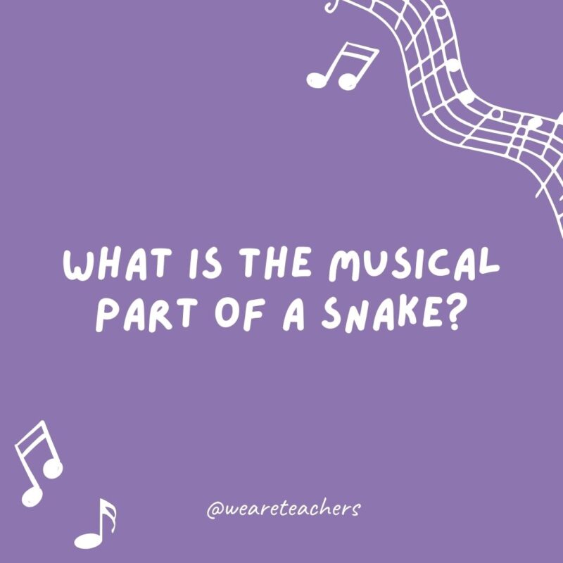 Example of music jokes for kids: What is the musical part of a snake? Its scales. Example of music jokes for kids: What is the musical part of a snake? Its scales.