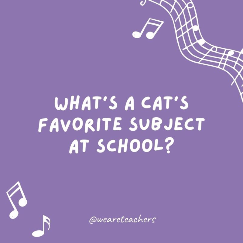 Example of music jokes for kids: What’s a cat’s favorite subject at school? Mew-sic. Example of music jokes for kids: What's a cat's favorite subject at school? Mew-sic.