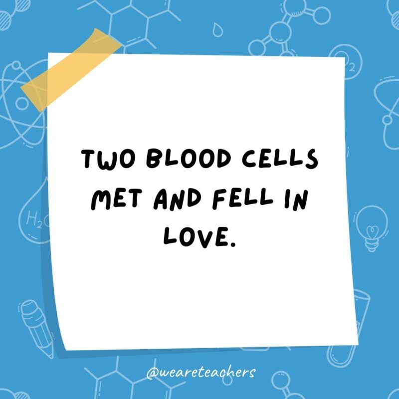 Example of science jokes: Two blood cells met and fell in love. Alas, it was all in vein. Example of science jokes: Two blood cells met and fell in love. Alas, it was all in vein.