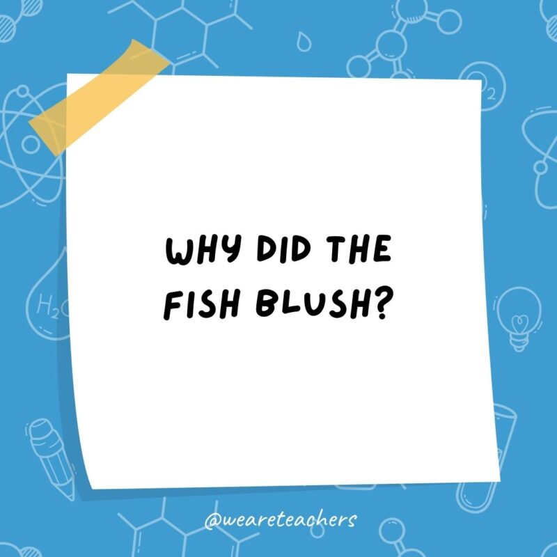 Why did the fish blush? Why did the fish blush?