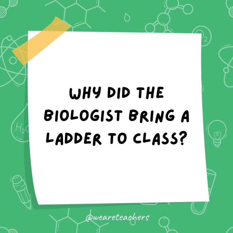 Why did the biologist bring a ladder to class? Why did the biologist bring a ladder to class?- science jokes
