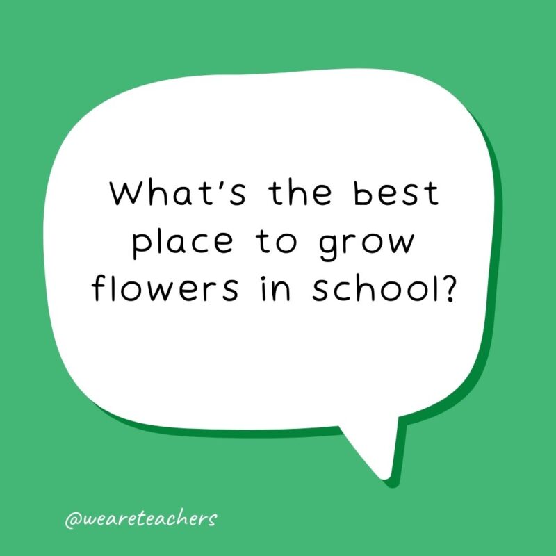 What’s the best place to grow flowers in school? In kindergarden.- school jokes for kids What's the best place to grow flowers in school? In kindergarden.- school jokes for kids