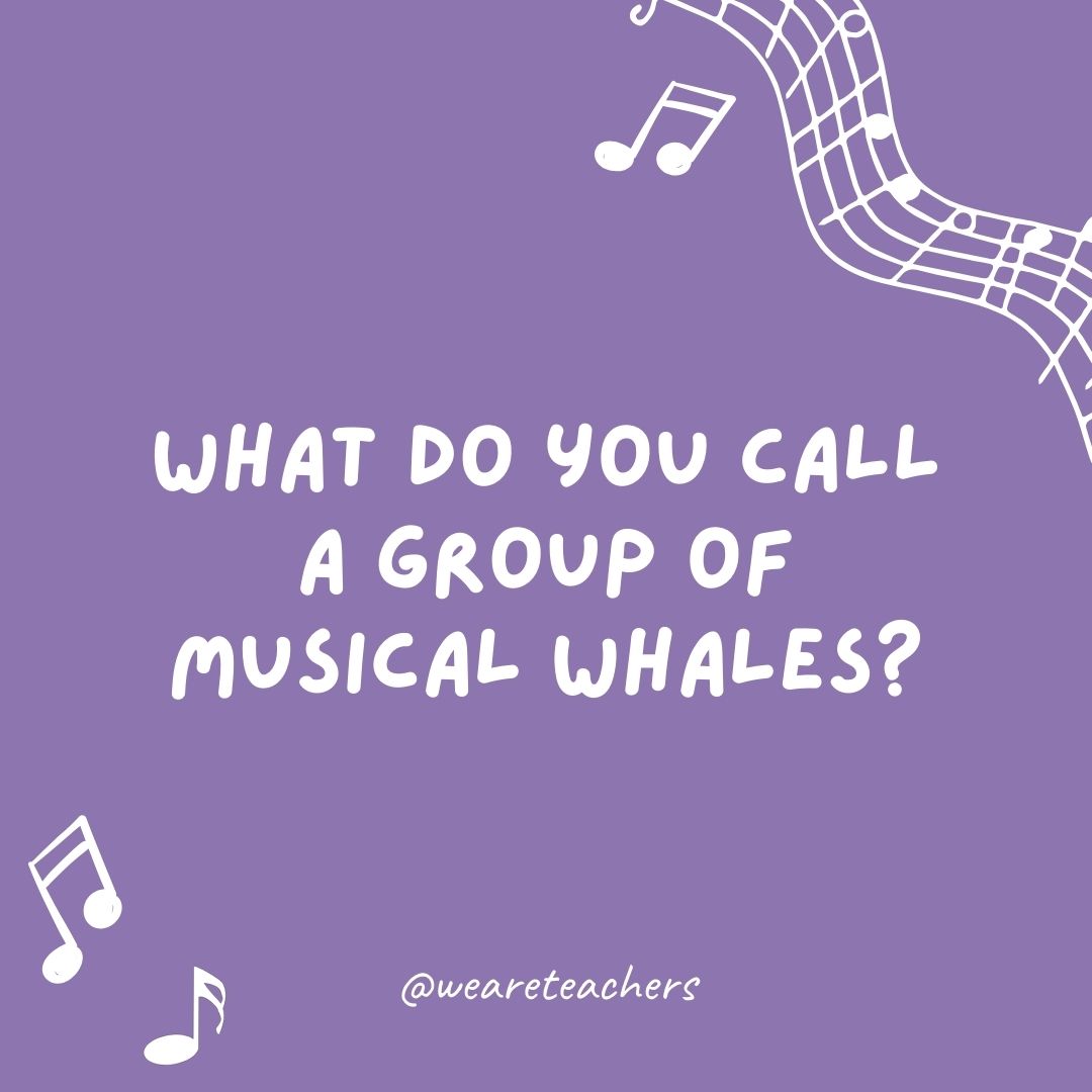 What do you call a group of musical whales? What do you call a group of musical whales?