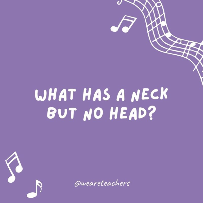 What has a neck but no head? A bass. What has a neck but no head? A bass.