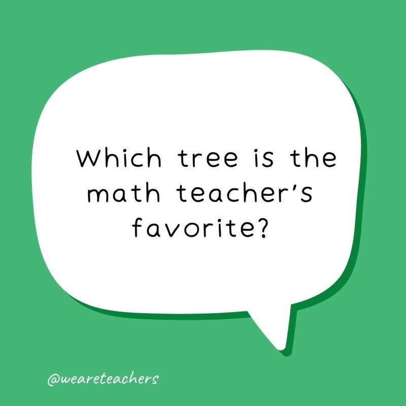 Which tree is the math teacher’s favorite? Which tree is the math teacher’s favorite?