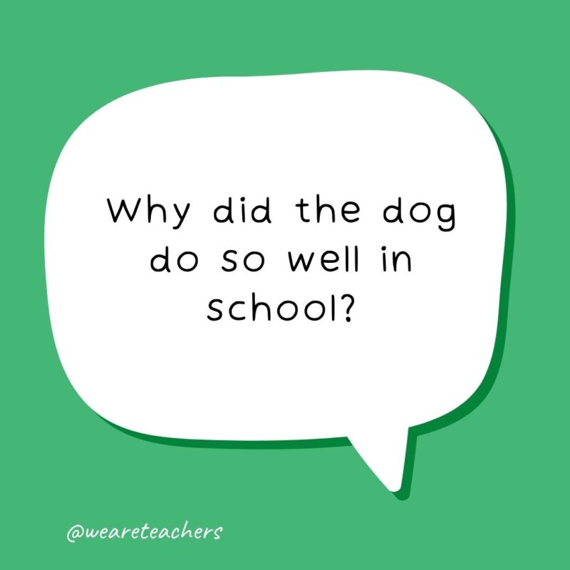 Why did the dog do so well in school? Because he was the teacher’s pet – – school jokes for kids Why did the dog do so well in school? Because he was the teacher’s pet - - school jokes for kids