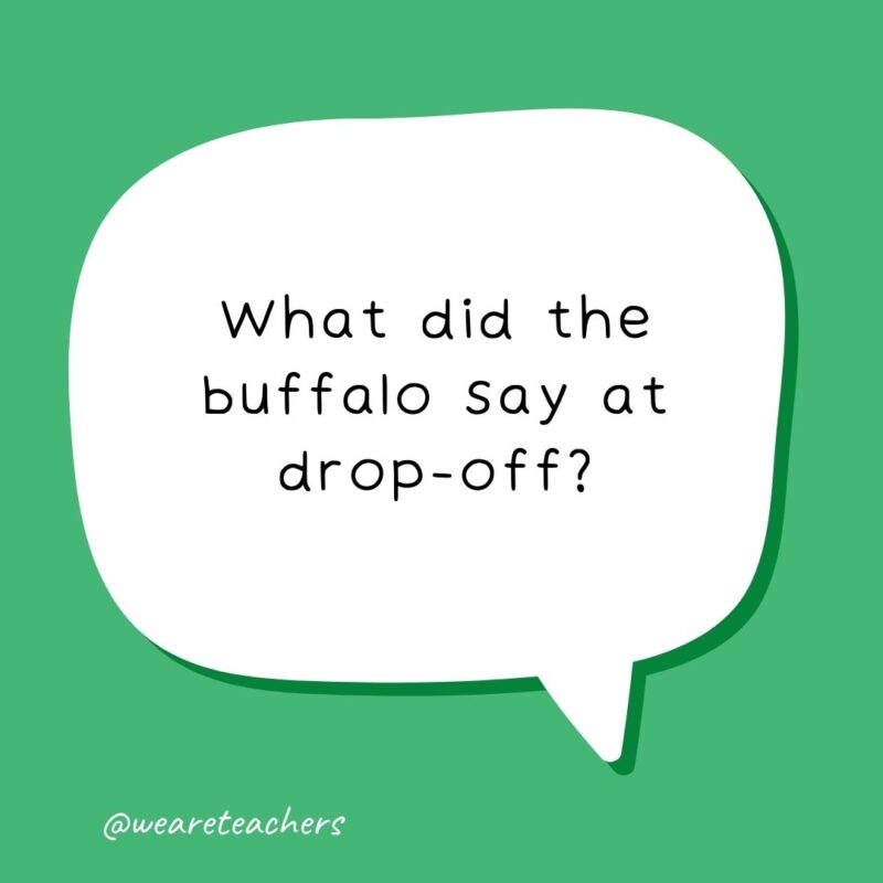 What did the buffalo say at drop-off? Bi-son. What did the buffalo say at drop-off? Bi-son.- school jokes for kids