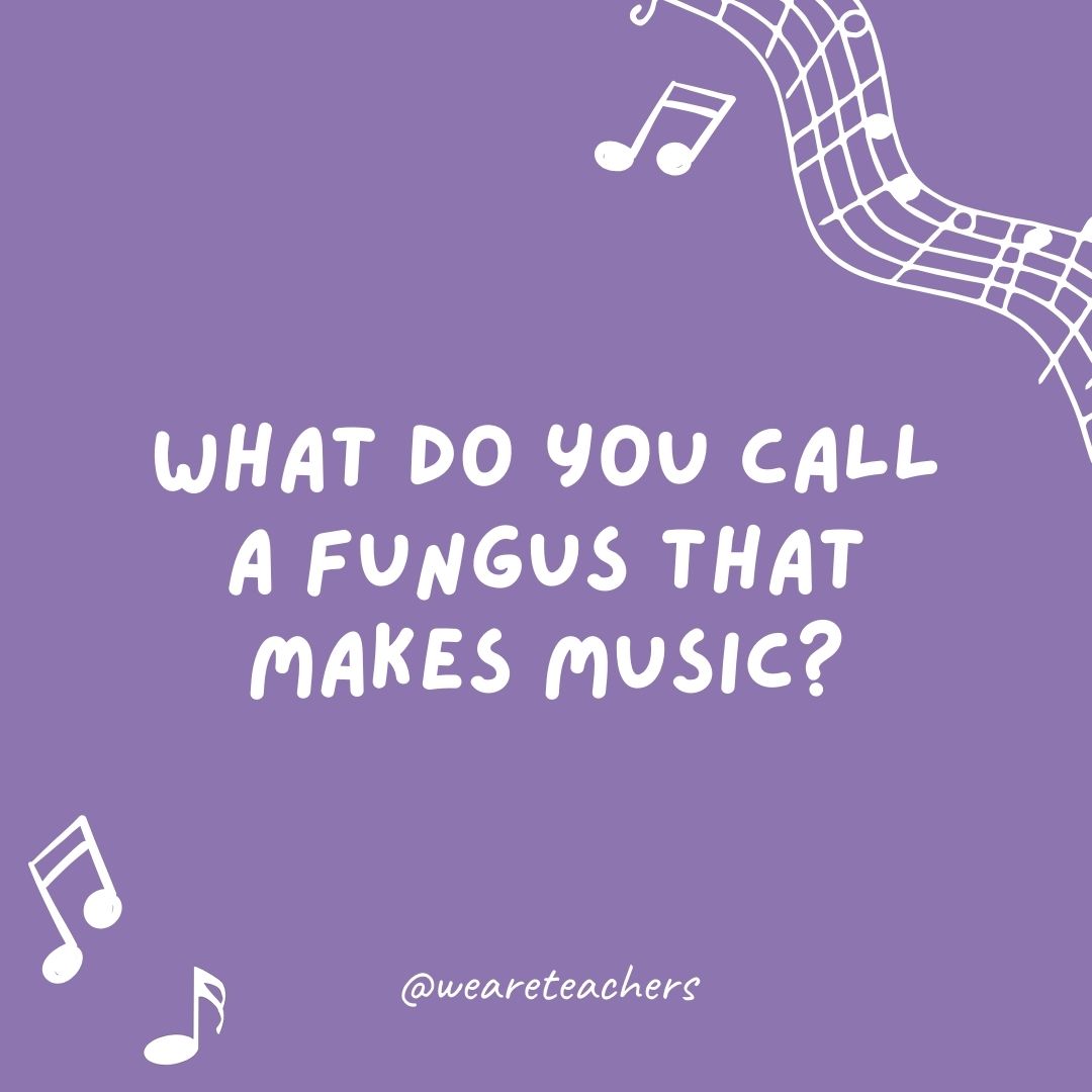 What do you call a fungus that makes music? What do you call a fungus that makes music?