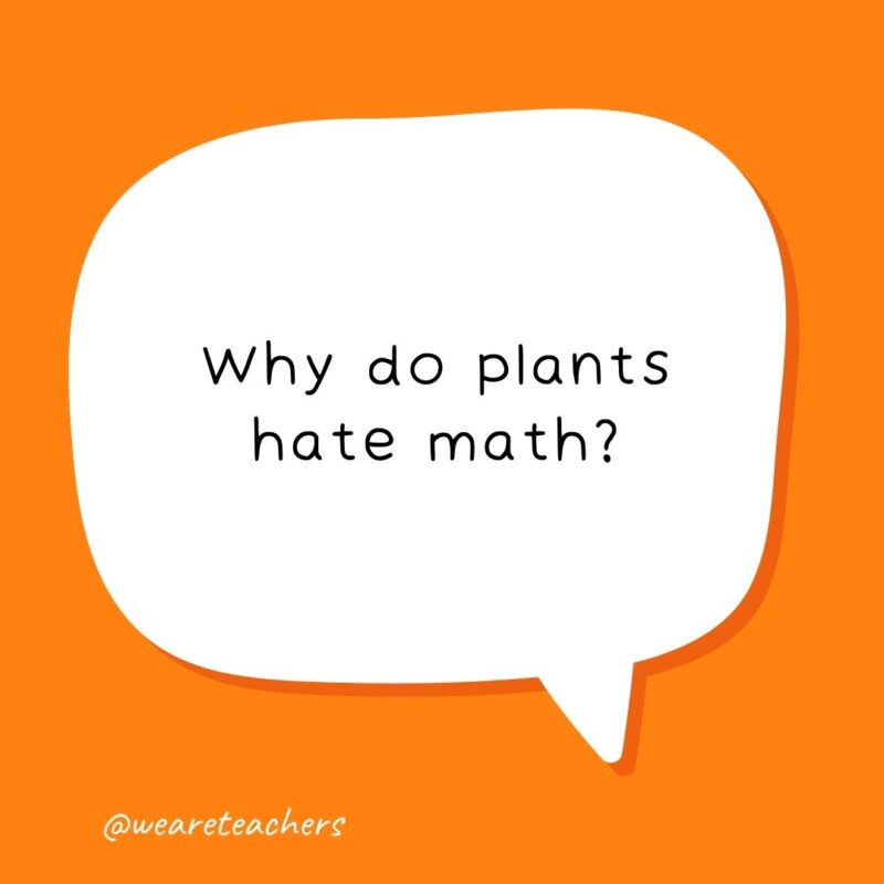 Why do plants hate math? Why do plants hate math?- school jokes for kids