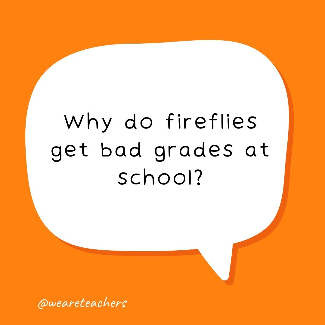 Why do fireflies get bad grades at school? Why do fireflies get bad grades at school?