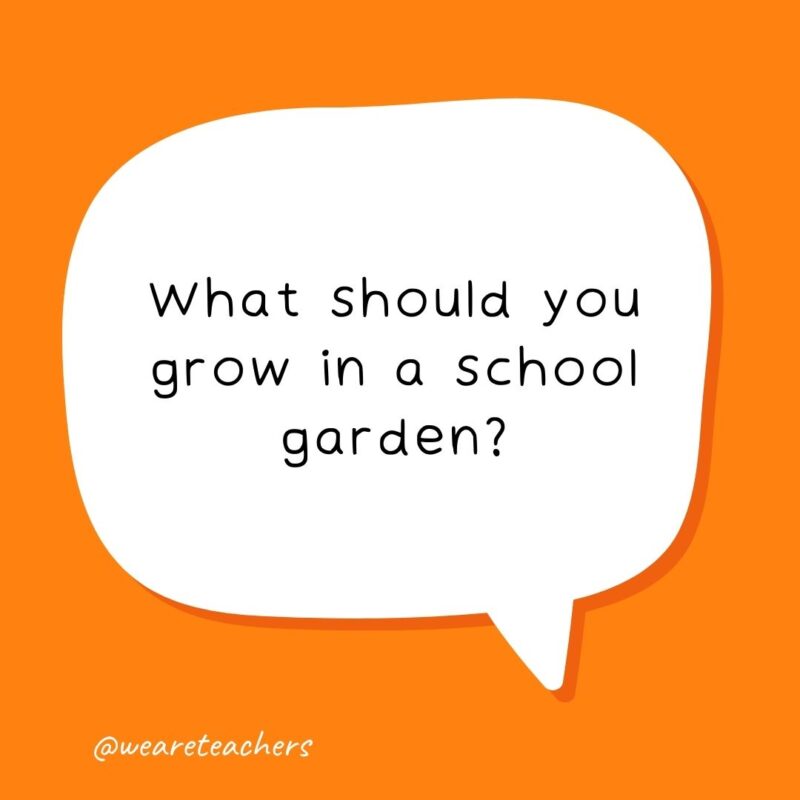 What should you grow in a school garden? Human beans. What should you grow in a school garden? Human beans.