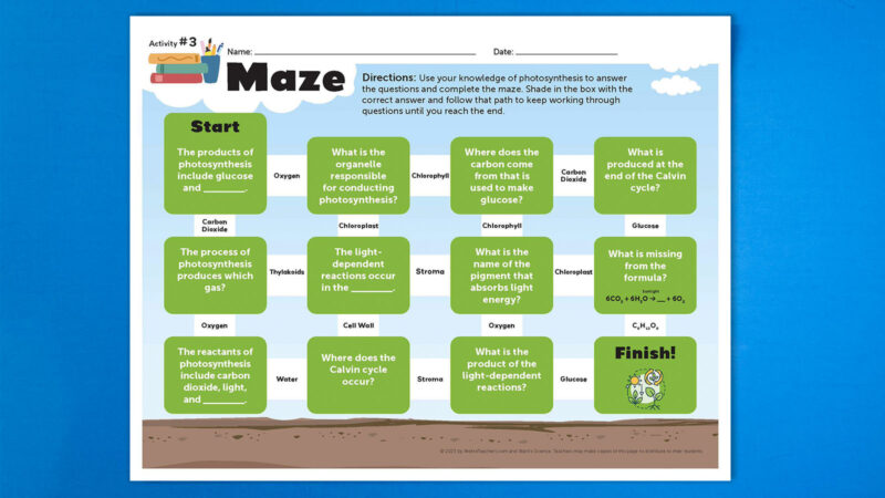 5 Free Photosynthesis Worksheets for Middle and High School Image of photosynthesis maze activity