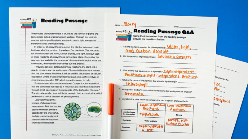 5 Free Photosynthesis Worksheets for Middle and High School Image of several pages of the reading passage worksheet from the photosynthesis worksheet bundle
