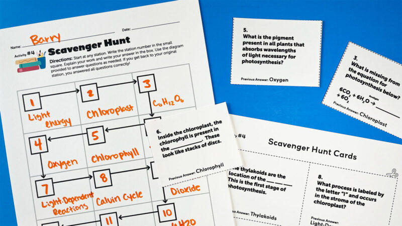 5 Free Photosynthesis Worksheets for Middle and High School Image of the photosynthesis scavenger hunt