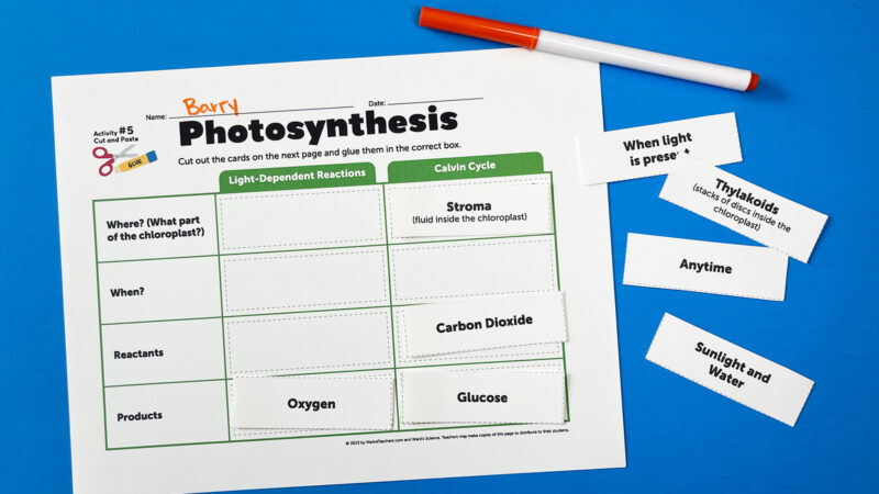 5 Free Photosynthesis Worksheets for Middle and High School Image of the photosynthesis cut and paste activity