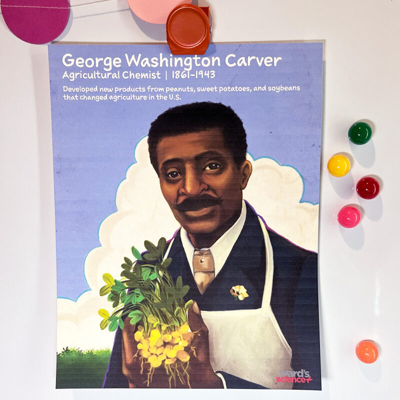 ree Printable Science Posters To Celebrate Black History All Year Long Poster of George Washington Carver