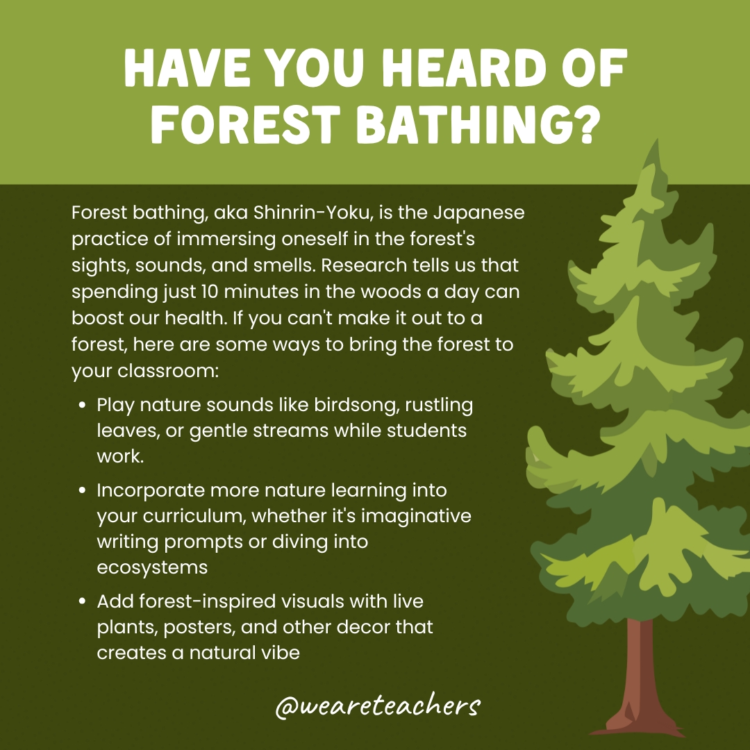 forest bathing social_v2 have you heard of forest bathing green social image.