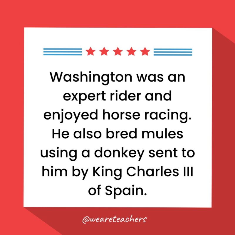Washington was an expert rider and enjoyed horse racing. He also bred mules using a donkey sent to him by King Charles III of Spain.