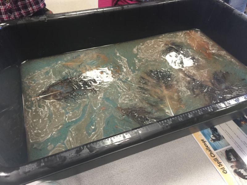 Invention Ideas for Kids: Oil Spill Bin filled with water and oil dyed with blue food coloring, part of a STEM challenge about oil spill cleanup as an example of invention ideas for kids