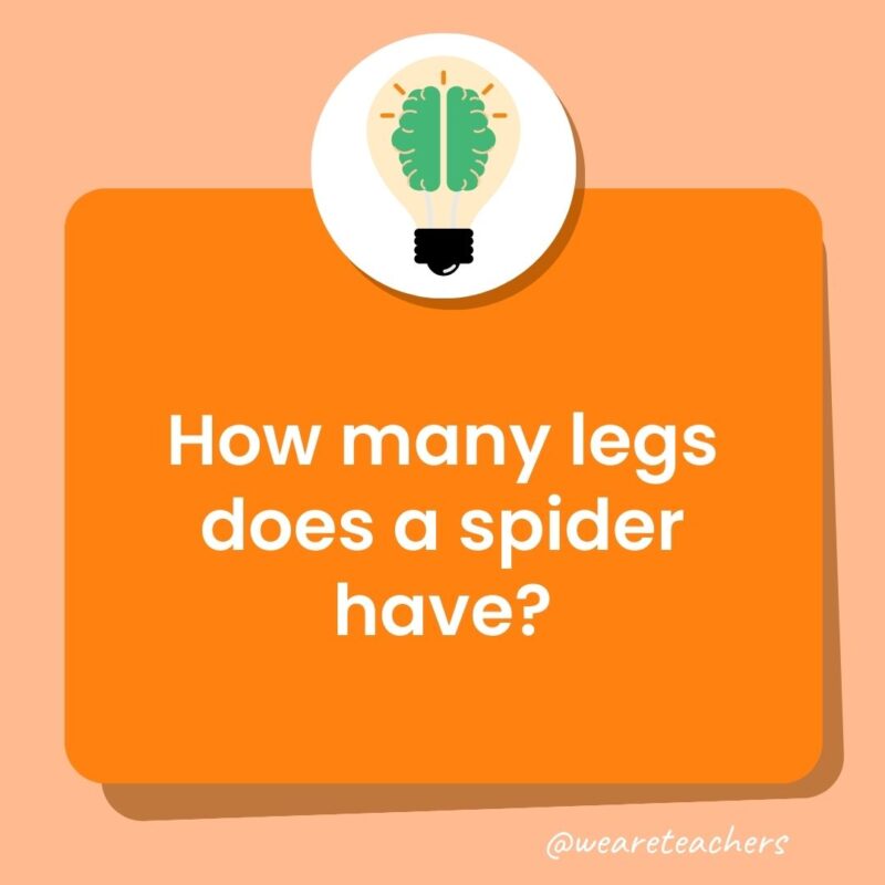 How many legs does a spider have? How many legs does a spider have?