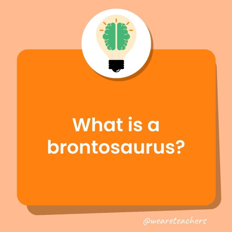 What is a brontosaurus? What is a brontosaurus?