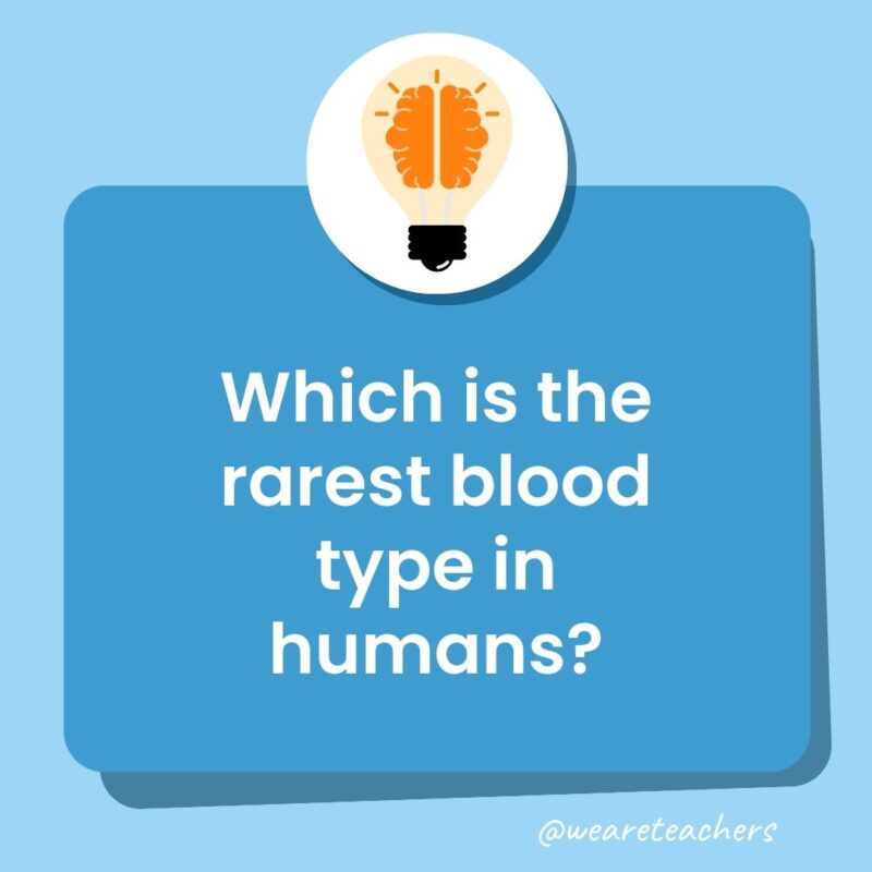 Trivia questions for kids: Which is the rarest blood type in humans? Trivia questions for kids: Which is the rarest blood type in humans?