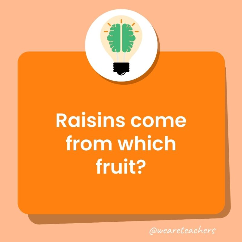 Raisins come from which fruit? Raisins come from which fruit?