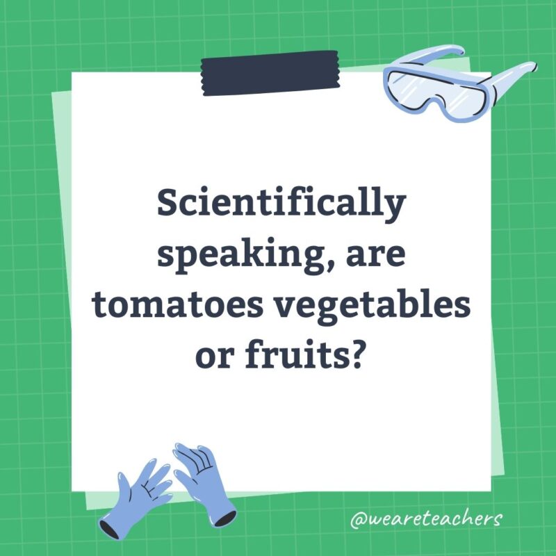 Scientifically speaking, are tomatoes vegetables or fruits? Scientifically speaking, are tomatoes vegetables or fruits?-science trivia