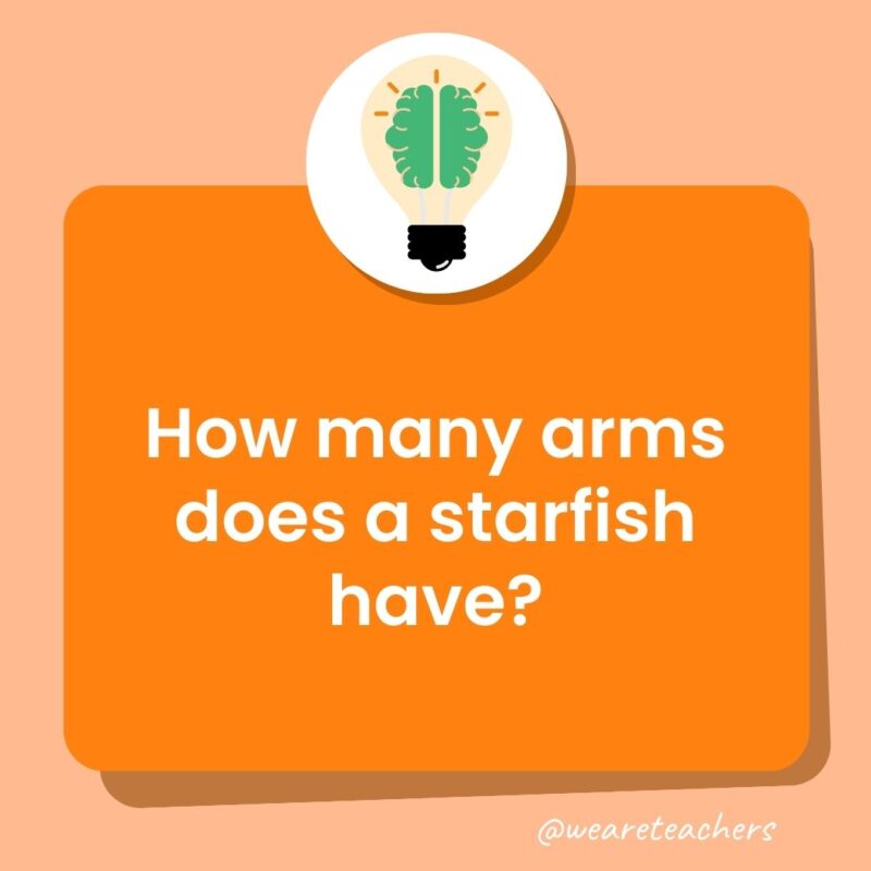 How many arms does a starfish have? How many arms does a starfish have?
