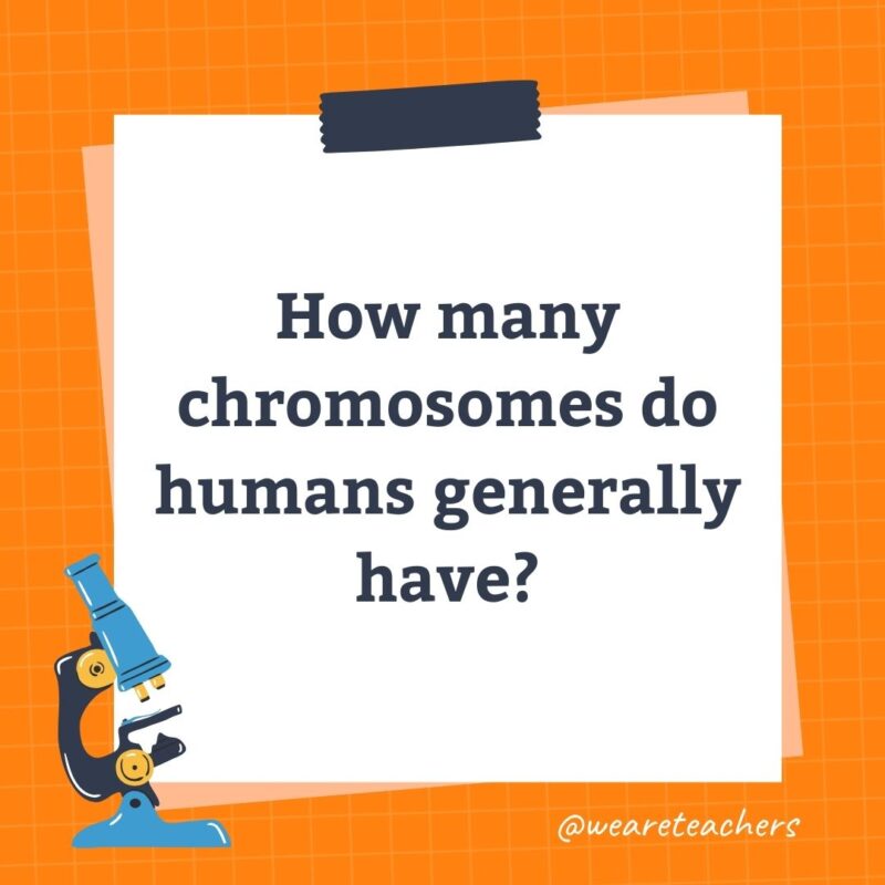 38. How many chromosomes do humans generally have? 38. How many chromosomes do humans generally have?